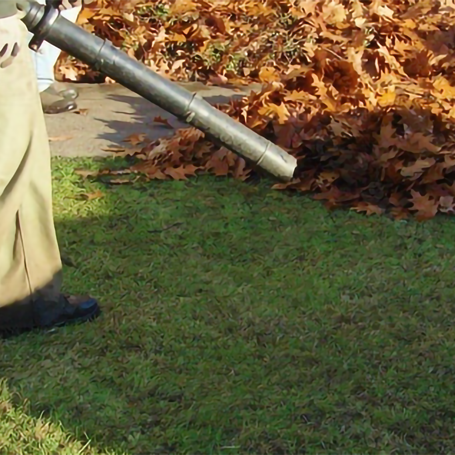 Utilisation d'un souffleur de feuilles pour l'entretien des espaces verts, déplaçant un tas de feuilles d'automne sur une pelouse verte.