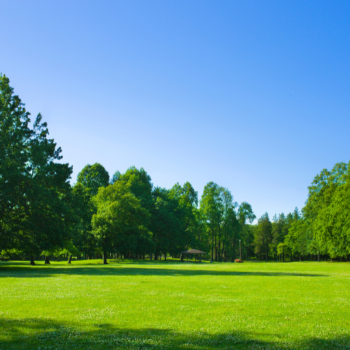 Étendue vaste de pelouse verte sous un ciel bleu dans un parc, reflétant un entretien d'espaces verts exemplaire.